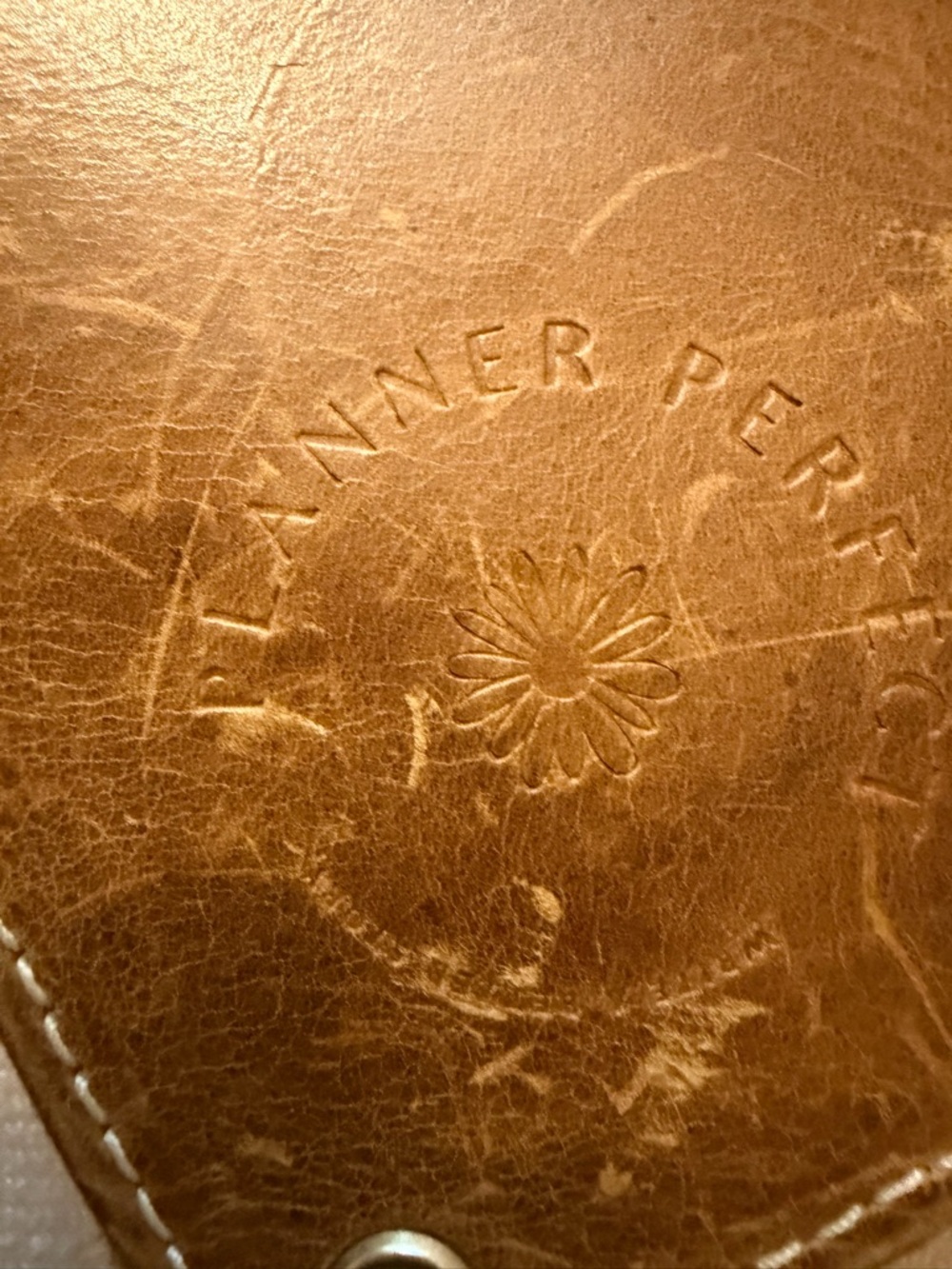 Planner Perfect Everyday Wallet - Picture 6 of 16